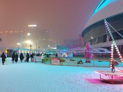 -沈阳奥体冰雪嘉年华