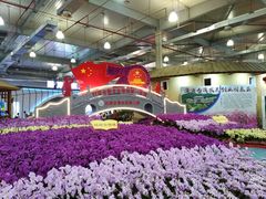 -东南花都花博园