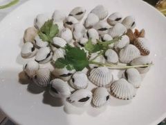 血蛤-阿尔法海鲜排档(爱琴海店)