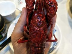 -虾弄弄海派小龙虾·牛羊蝎子火锅