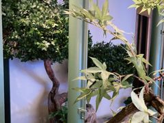 -潮上潮(南中环店)