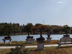 -上海海湾国家森林公园