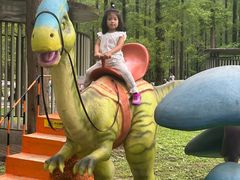 -黄海国家森林公园