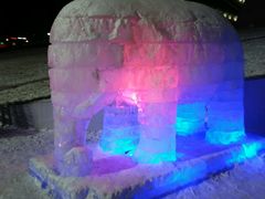 -沈阳奥体冰雪嘉年华