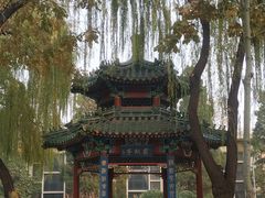 -中国农业博物馆