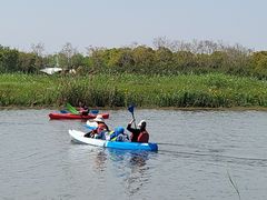 -春花秋色城市公园