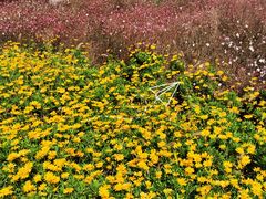 -汉长安城未央宫国家考古遗址公园