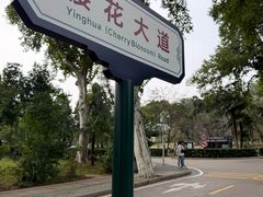 -甜阿姨·天台花园私房菜(万松园店)