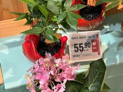 -盒马鲜生(宝地店)
