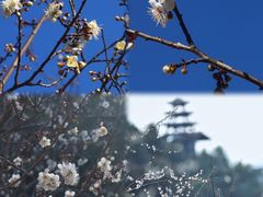 -广东天露山旅游度假区