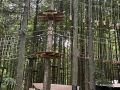 -山王坪喀斯特国家生态公园