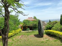 -原山国家森林公园