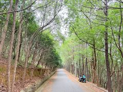 -雨花胜境