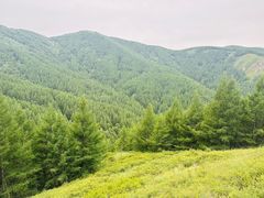 -苏木山森林公园