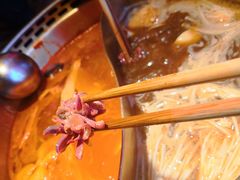 -小龙坎老火锅(北京三里屯店)