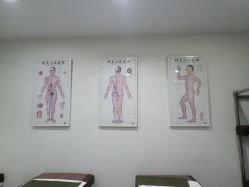 -赵大夫减肥