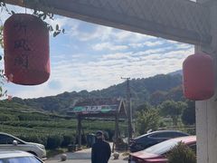 -听风阁农家私房菜茶楼(龙坞店)