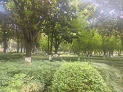 -绵阳人民公园(涪城区)