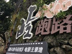 -桑洲油菜花景区