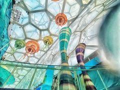 -水立方嬉水乐园