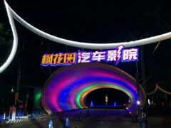 -枫花园汽车电影院(朝阳公园店)