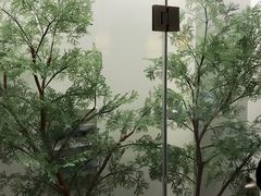 -兰亭茶叙(新新家苑店)