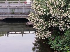 -洛阳市隋唐城遗址植物园