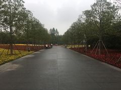-龙华烈士纪念馆-停车场