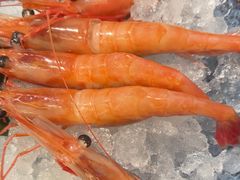 -沼津港精致料理·寿喜烧·烧鸟(龙湖南桥天街日料榜单店)