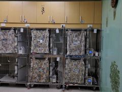 -美联众合动物医院·24h京西诊疗中心