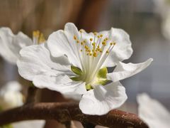 -朝阳公园