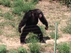 -石家庄市动物园