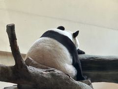 -宁波野生动物园