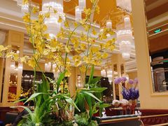 大堂-福楼法餐厅FLO