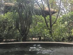 -林丰温泉度假山庄