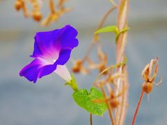 -铁路江上俱乐部