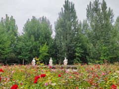 -静之湖度假区