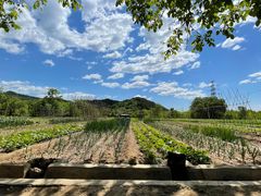 -北京大学(昌平校区)