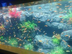 -秦皇岛新澳海底世界