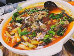 -清真双宝红油牛系列