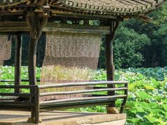 -兰亭风景区