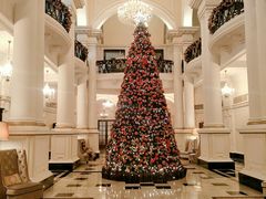 -LONG BAR 廊吧(外滩华尔道夫酒店)