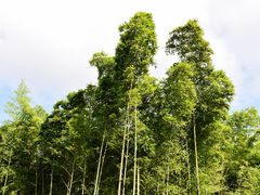 -苏州河梦清园环保主题公园