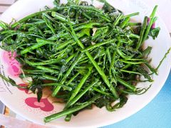 -万兴启丰椰子文化园餐厅