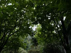 -广州神农草堂中医药博物馆