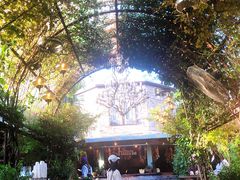 -The Grounds of Alexandria