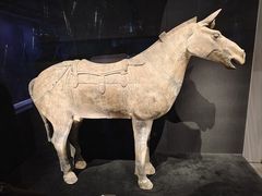 -陕西历史博物馆