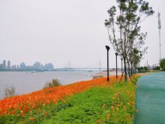 -武昌江滩