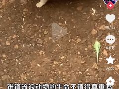 -昆明动物园