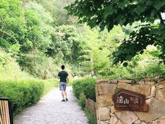 -远山有窑